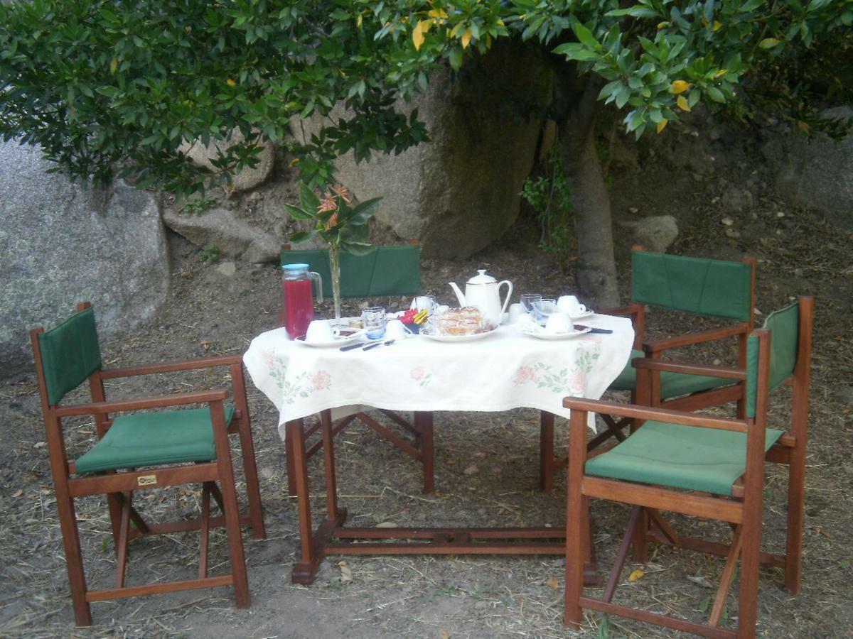La Collina Dei Ciliegi Bed & Breakfast Sarule Екстериор снимка