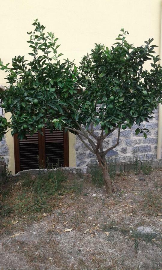 La Collina Dei Ciliegi Bed & Breakfast Sarule Екстериор снимка