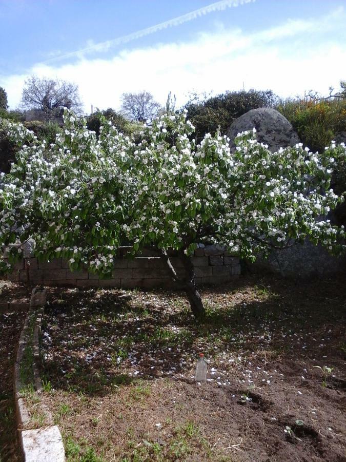 La Collina Dei Ciliegi Bed & Breakfast Sarule Екстериор снимка